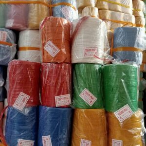 Dây nilon TP (mã 01)