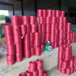 Dây Nilon Thường (mã 01)