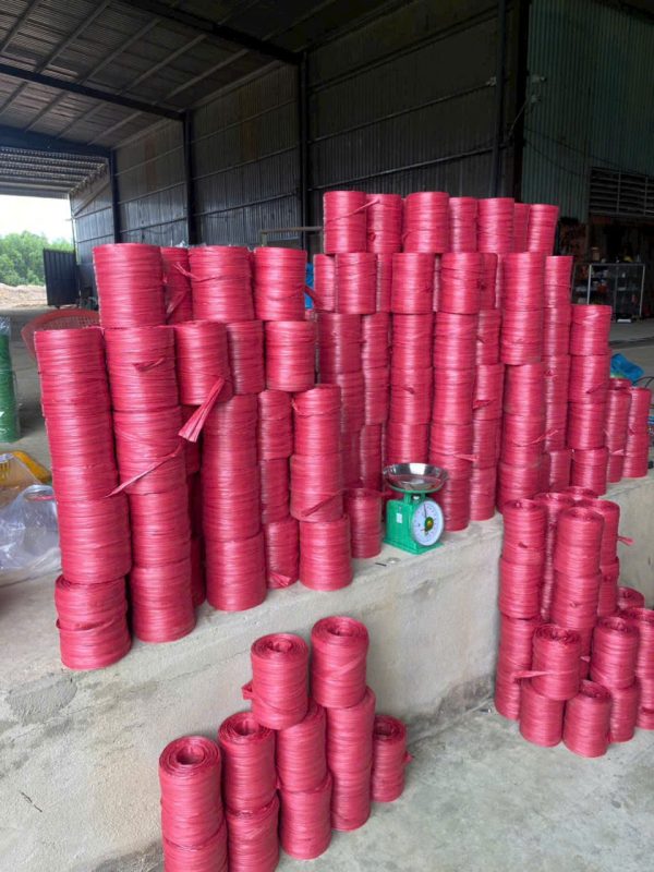 Dây Nilon Thường (mã 01)